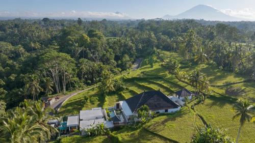 Tegallalang Complejo | Romantic Cozy Three Bedroom Jungle View Villa in Ubud