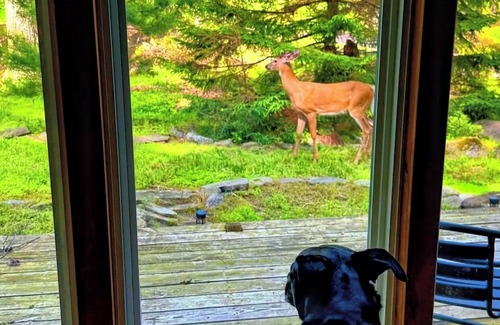 Tobyhanna Casa | The Little Antler A Frame PET FRIENDLY, Poconos Unique Romantic Getaway "the little antler a frame"