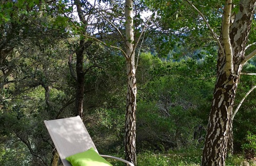 Mill Valley Casa | Escapada romántica. Los excursionistas / ciclistas de sueño. Pacífico. Aire fresco. Naturaleza. Santuario.