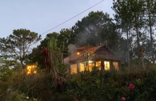Da Lat Chalet De Esquí | Romantic house on a pine hill Dalat
