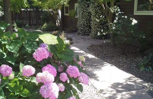 Sonoma Cabaña | Romantic Cottage Sonoma El 1 de Acre En Wine Country