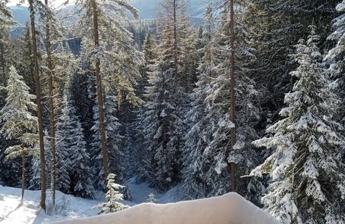 Newport Apartamento | Romantic Treehouse Getaway with Peaceful Mountain Views!