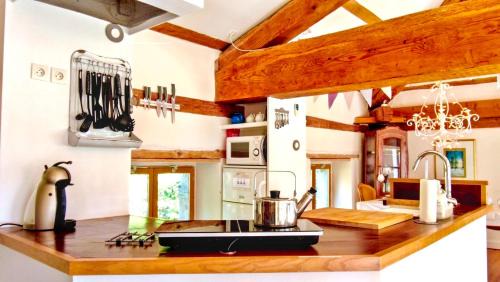 Le Monestier Casa | Romantic Village School with Sunny Garden