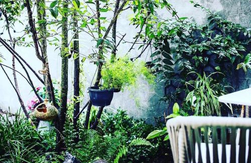 Noordwijk Cama Y Desayuno | Romantic Wellness BnB Noordwijk