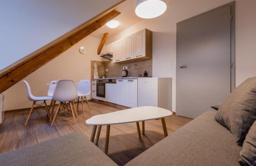 Olomouc Apartamento | Romantický LOFT parking u hlavního nádraží