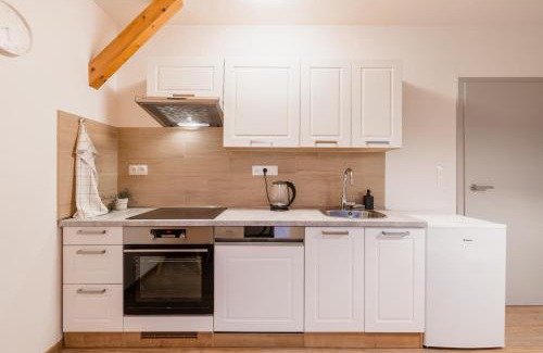 Olomouc Apartamento | Romantický LOFT parking u hlavního nádraží