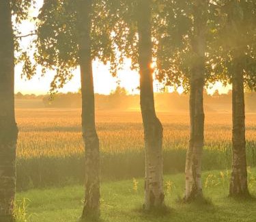 Idestrup Otro | Romantik Luxus Glamping 2