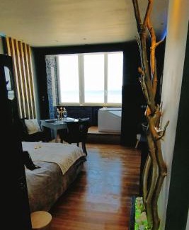 Berck-sur-Mer Apartamento | Romantique Vue Face mer