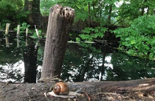 Laasow Casa | Romantische Ferienwohnung im Herrenhaus Wüstenhain Spreewald