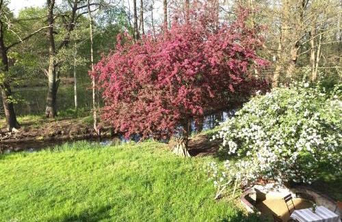 Laasow Casa | Romantische Ferienwohnung im Herrenhaus Wüstenhain Spreewald