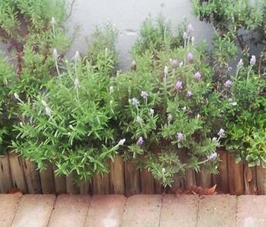 Cape Town Apartamento | Rondebosch East STRICTLY HALAAL bachelor cottage