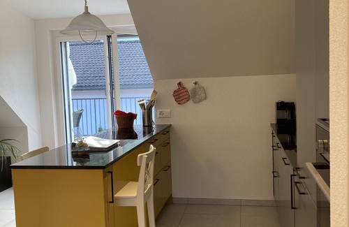 Bad Zurzach Apartamento | Roof top flat