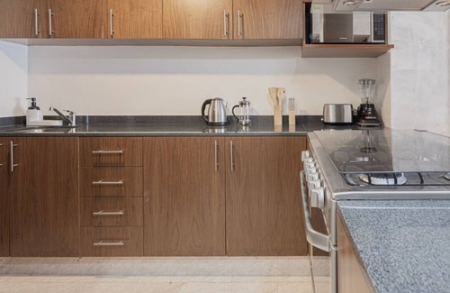 Hipodromo Apartamento | Rooftop Apartment in Condesa