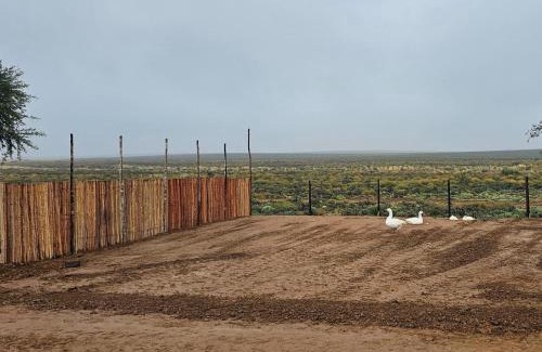 Witzenberg Otro | Rooidakkies