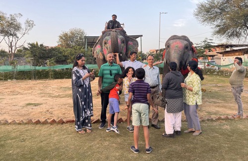Pink City Villa | Room 4 - You can spend time with elephants by going close them