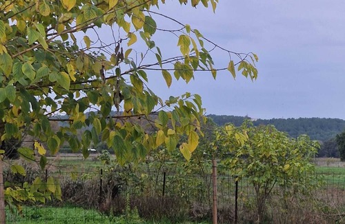Bedarrides Casa | Room for rent in a quiet house in the countryside