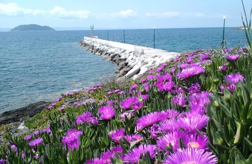 Neos Marmaras Casa | Room in BB - Welcome To Hotel petunia, In Neos-marmaras,xalkidiki ,greece, triple room 7