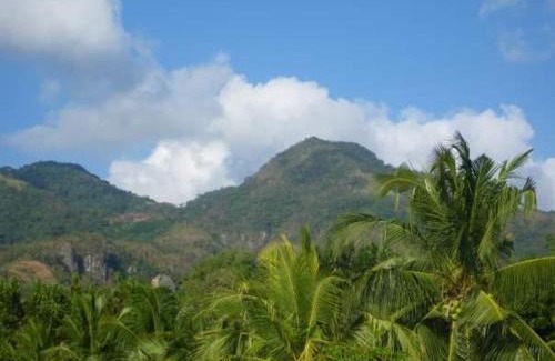 Lobo Casa | Room in Lobo Triple N Home stay 1st N