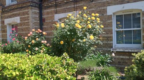 Waterloo Casa | Room just of the Southbank sleeps 3