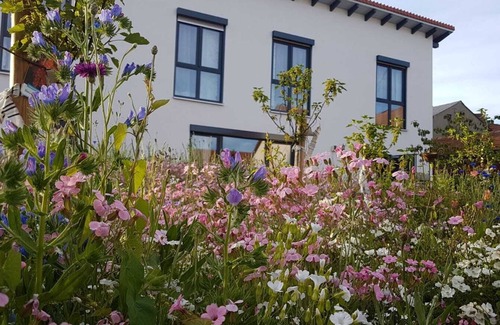 Bad Urach Apartamento | Habitación 'Nº 1' con terraza compartida, jardín común y wifi