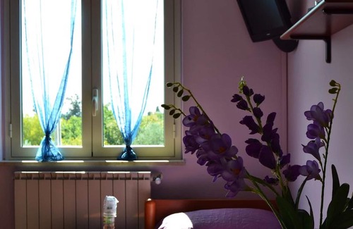 Caltanissetta Casa | Room-suite Rosa - B&b S - Elia