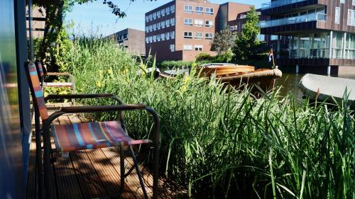 Amsterdam East Cama Y Desayuno | Room With A Few