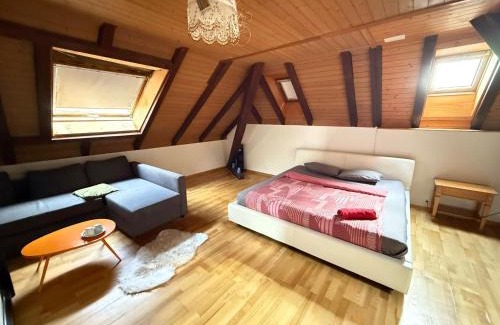 Bolligen Apartamento | Rooms for rent in Bolligen