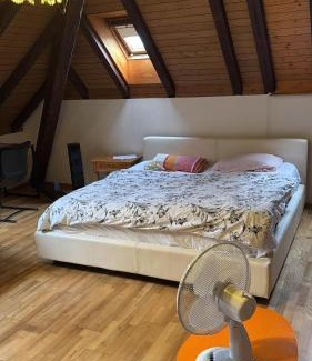 Bolligen Apartamento | Rooms for rent in Bolligen