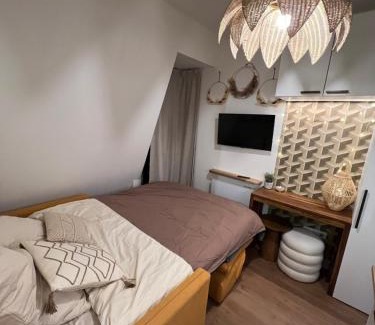 Quartier de la Folie-Mericourt Casa | Rooms with fabulous view on Paris roofs