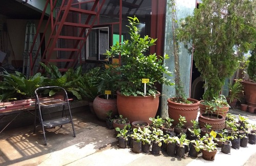 Quezon City Casa | Roosevelt Avenue Penthouse (5 habitaciones, 5 baños)
