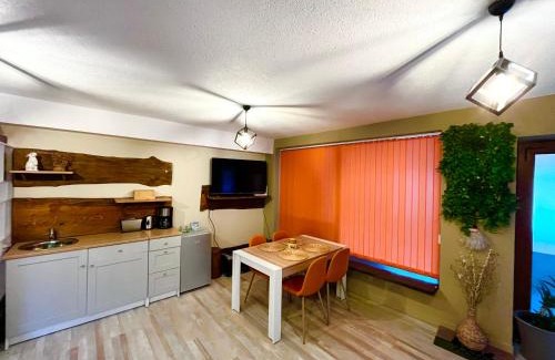 Borovets Apartamento | Roots Apartment 2