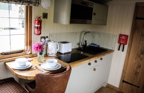 St Harmon Cabaña | Rose - a shepherds hut that sleeps 2 guests in 1 bedroom