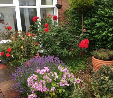 Woodhorn Casa | Rose Cottage, Newbiggin-by-the-Sea