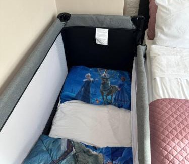 g.k. Strelbishte Apartamento | Rose's apt - NEWLY REFURBISHED, South park, Free Parking, Mountain View, self check-in, close to metro, stores, family-friendly