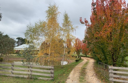 Mansfield Casa | Rosedale House Mansfield Group Alojamiento