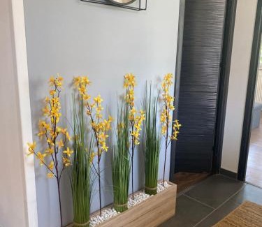Solt Apartamento | Rosemary Cottage