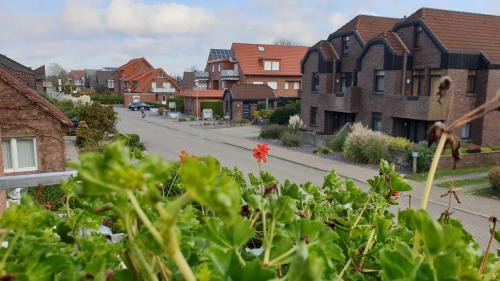 Horumersiel Apartamento | Rosenhus 6