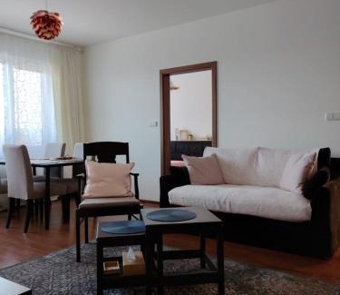Frydek-Mistek Apartamento | Roses Apartment