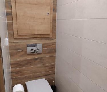 Frydek-Mistek Apartamento | Roses Apartment