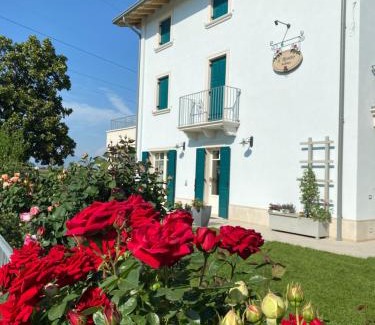 Castelnuovo del Garda Cama Y Desayuno | ROSETO HOLIDAYS AZZURRO