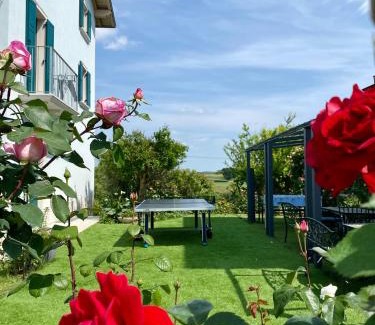 Castelnuovo del Garda Cama Y Desayuno | ROSETO HOLIDAYS AZZURRO