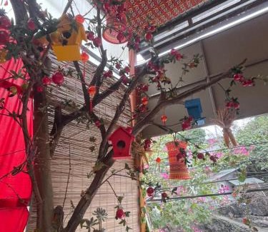 Ha Giang Casa | Rosie Homestay