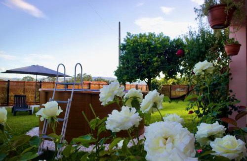 Vale de Cambra Casa | Rosinha Country House