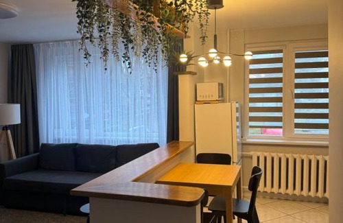 Birzai Apartamento | ROTUŠĖS g 23 APARTMENTS IN THE CITY CENTER BIRŽAI