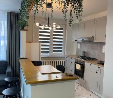 Birzai Apartamento | ROTUŠĖS g 23 APARTMENTS IN THE CITY CENTER BIRŽAI