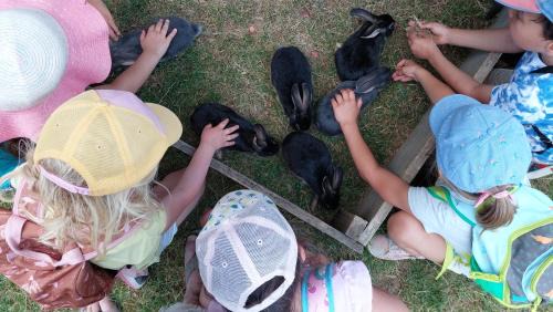 Pouylebon Otro | Roulotte a la ferme
