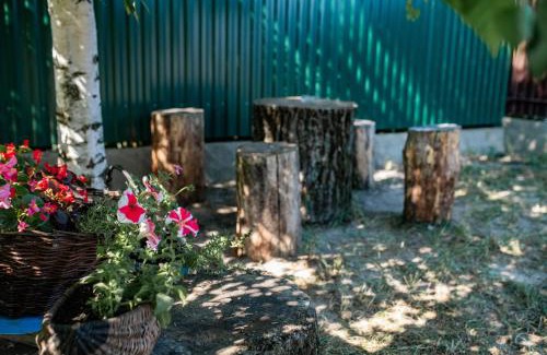 Volyn Oblast Apartamento | ROXENA APART