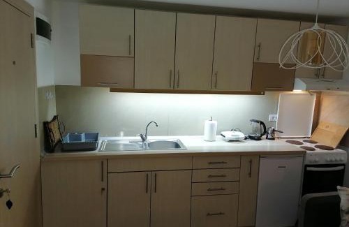 Vrnjacka Banja Apartamento | Royal 019