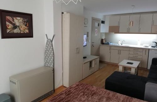 Vrnjacka Banja Apartamento | Royal 019