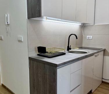 Paracin Apartamento | Royal Apartmani 2